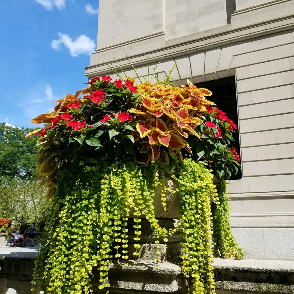 Meet your Posher, Nicki